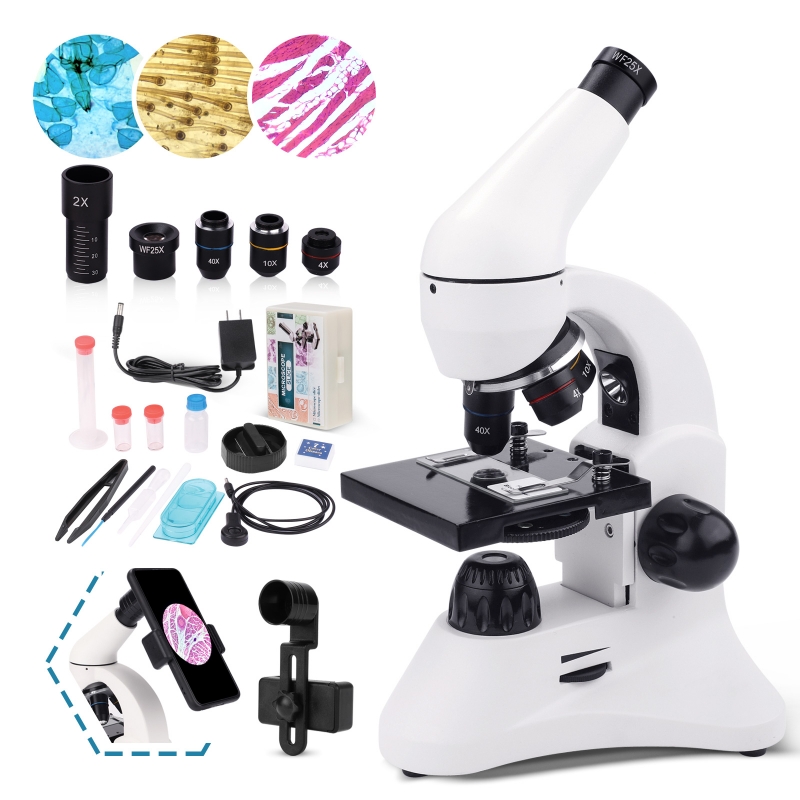 Microscope 100X-2000X UX002